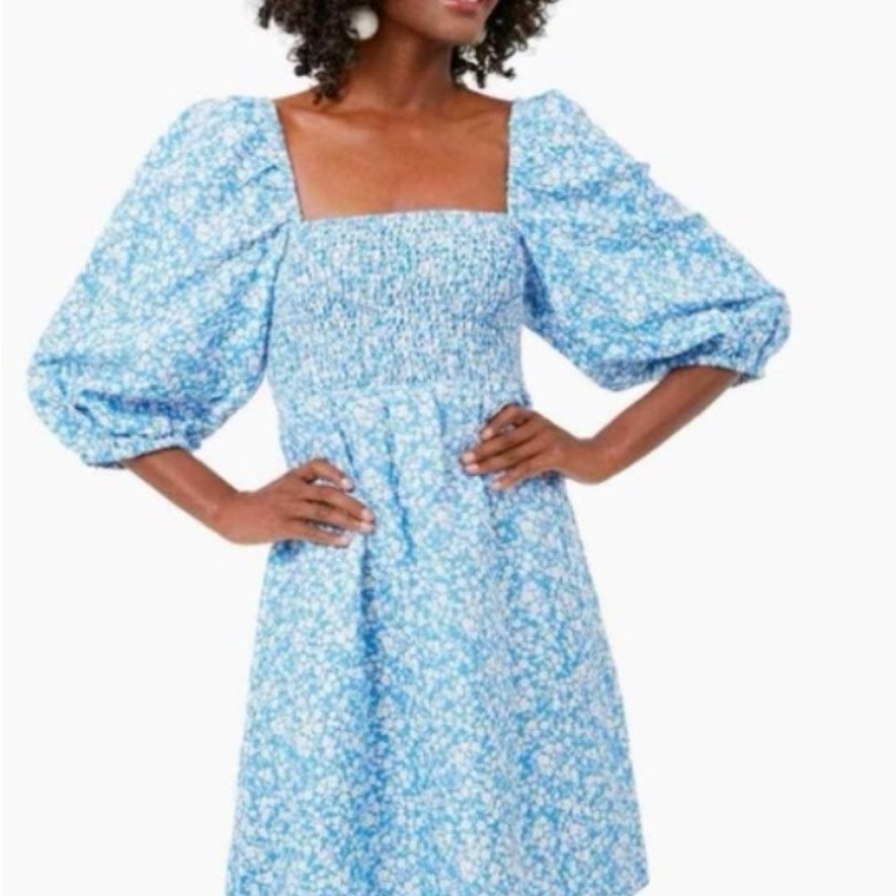Tuckernuck Blue and White Smocked Puff Sleeve Mini Dress